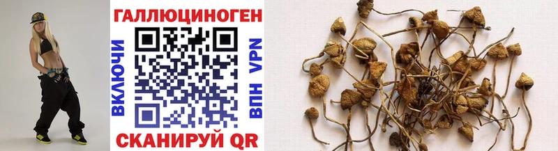 Купить где  Никольск  Псилоцибиновые грибы MAGIC MUSHROOMS 